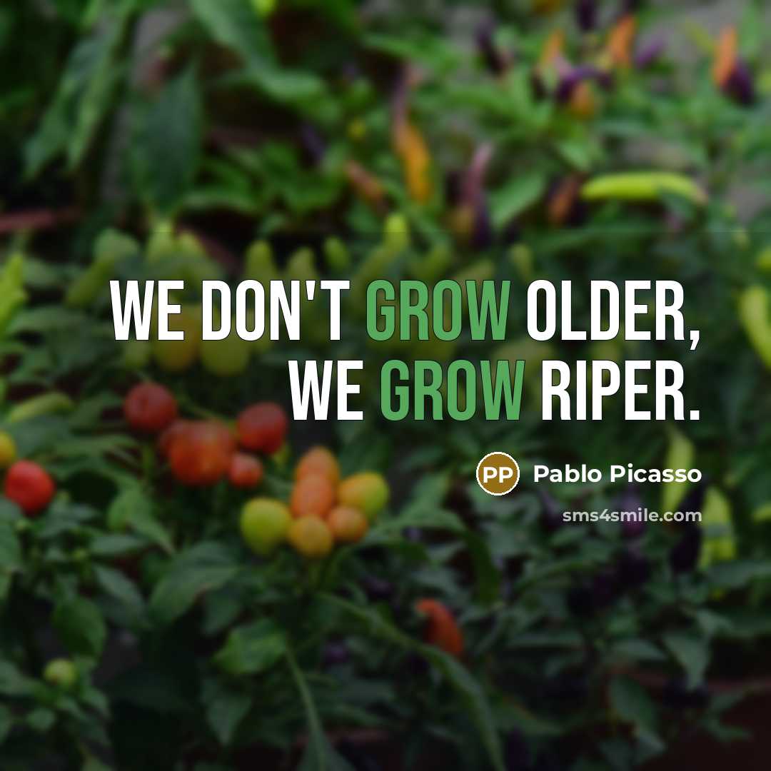 “We don't grow older, we grow riper.…” quote by Pablo Picasso