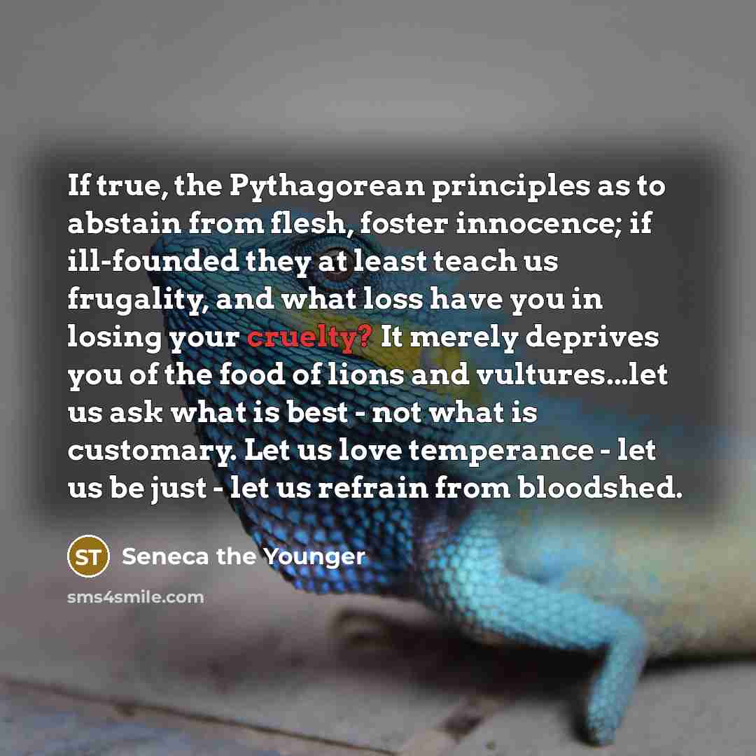 “If true, the Pythagorean principles as to abstain from flesh,…” quote by Seneca the Younger