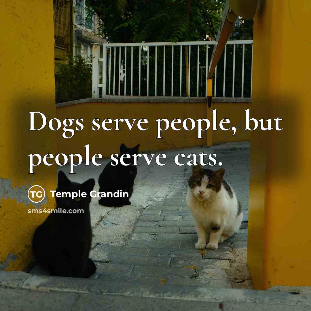 “Dogs serve people, but people serve cats.…” quote by Temple Grandin