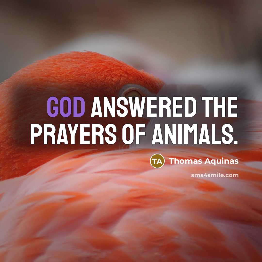“God answered the prayers of animals.…” quote by Thomas Aquinas