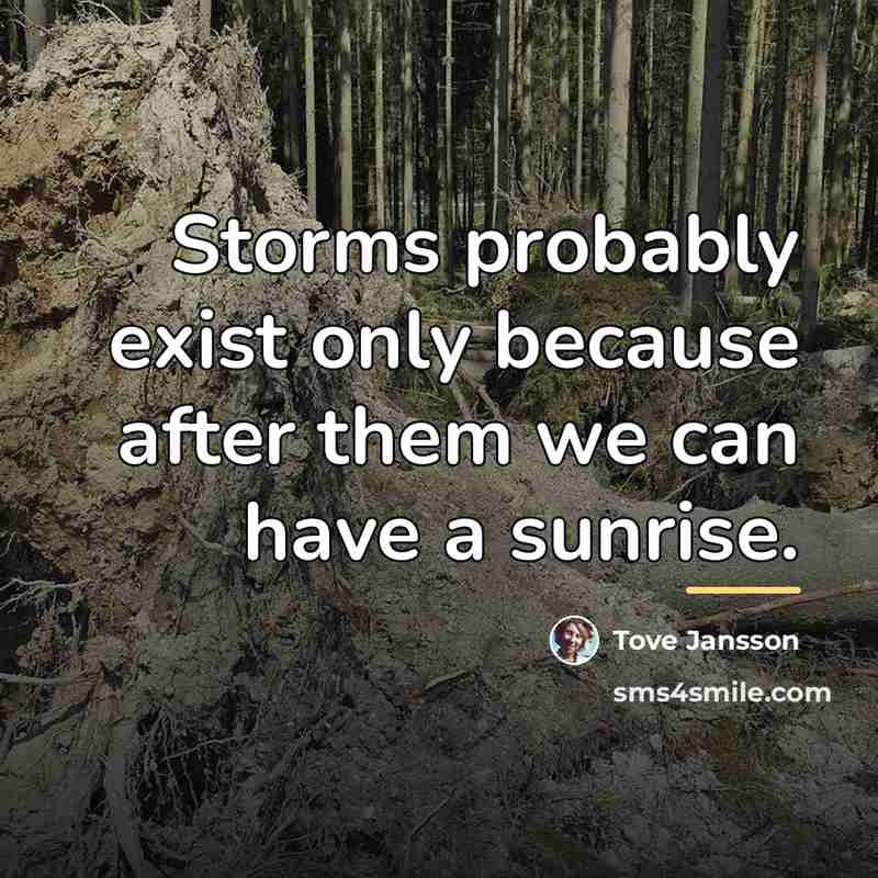 “Storms probably exist only because after them we can have…” quote by Tove Jansson