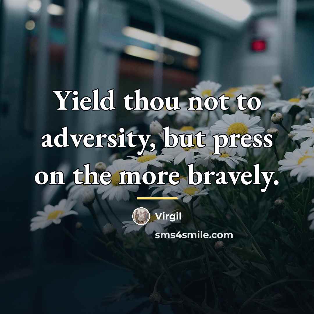 “Yield thou not to adversity, but press on the more…” quote by Virgil
