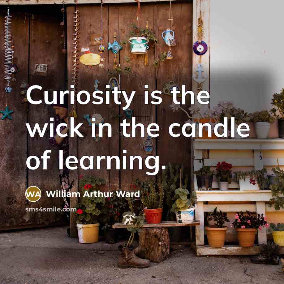 “Curiosity is the wick in the candle of learning.…” quote by William Arthur Ward