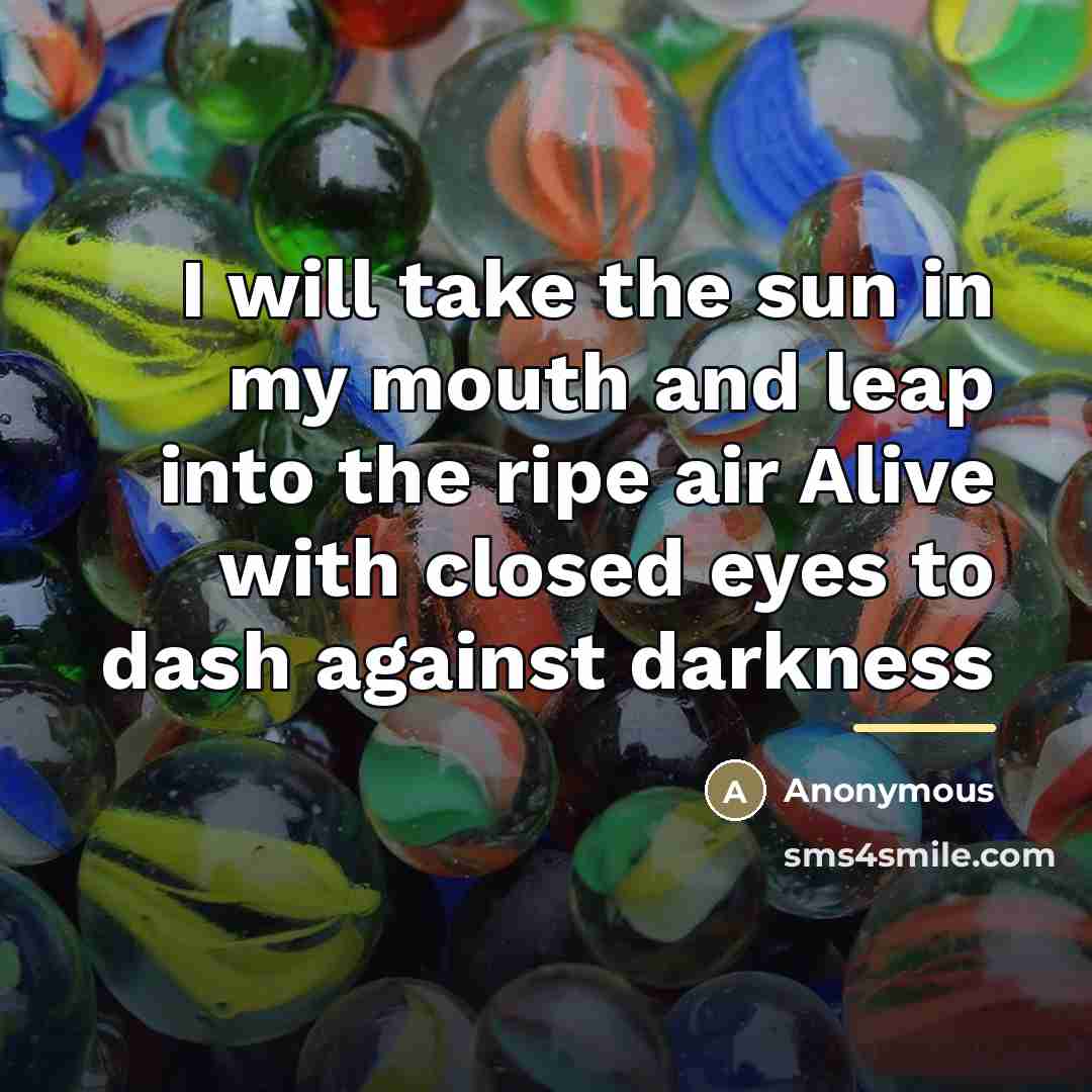 “I will take the sun in my mouth and leap…” quote by Anonymous