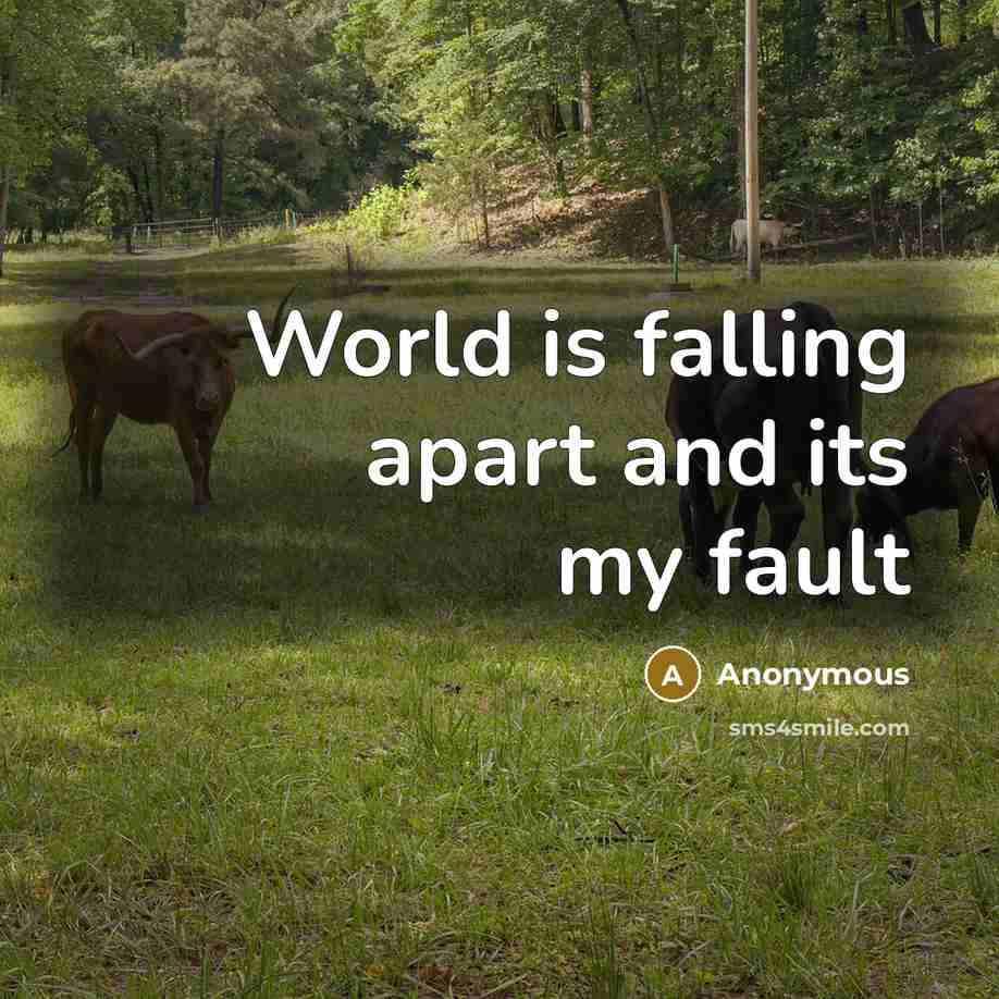 “World is falling apart and its my fault” quote by Anonymous