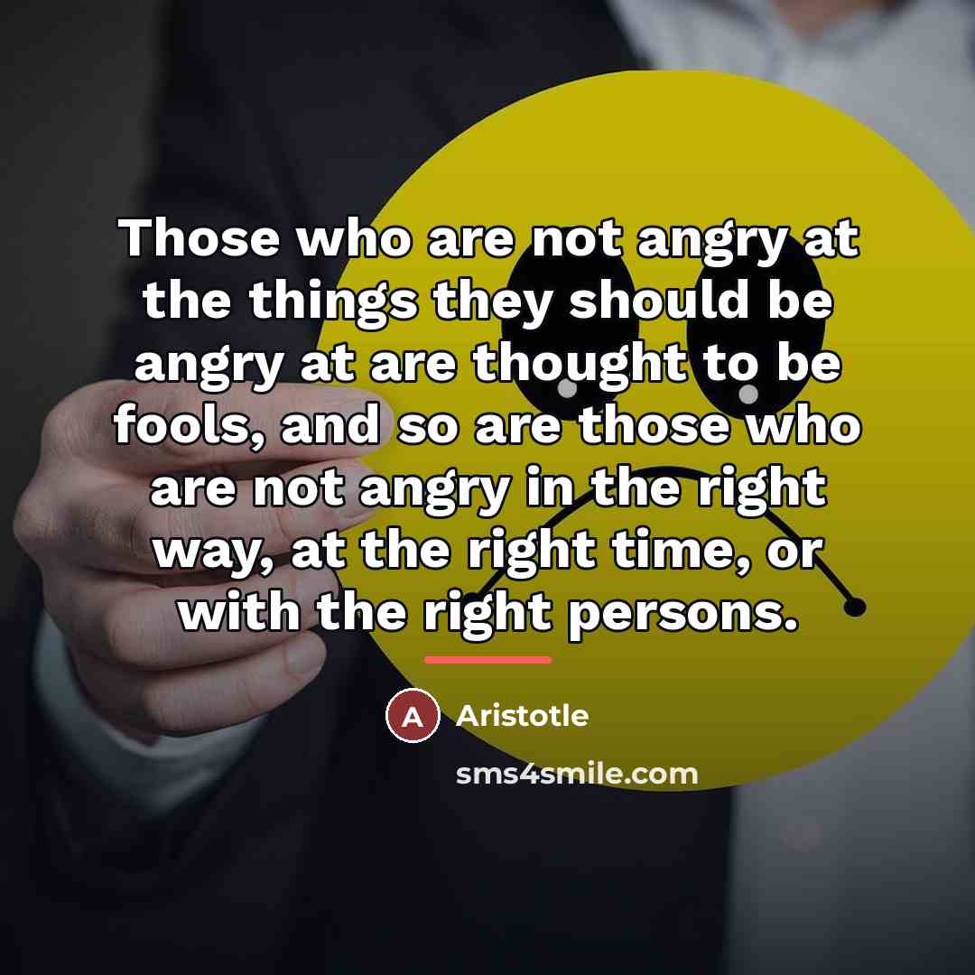 “Those who are not angry at the things they should…” quote by Aristotle