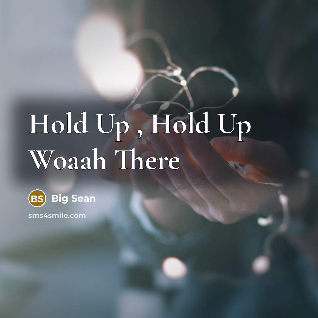 “Hold Up , Hold Up Woaah There…” quote by Big Sean