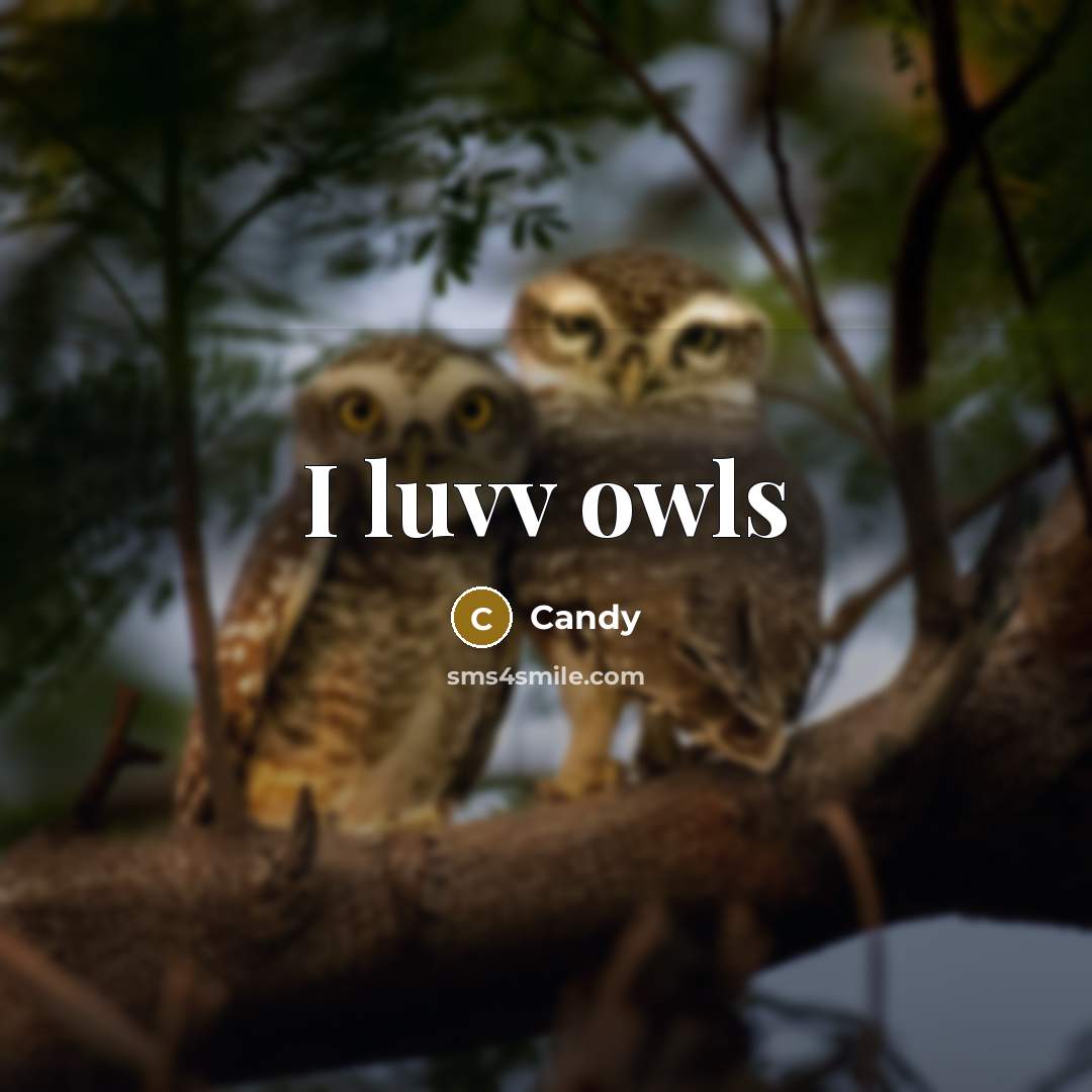 “I luvv owls…” quote by CANDY