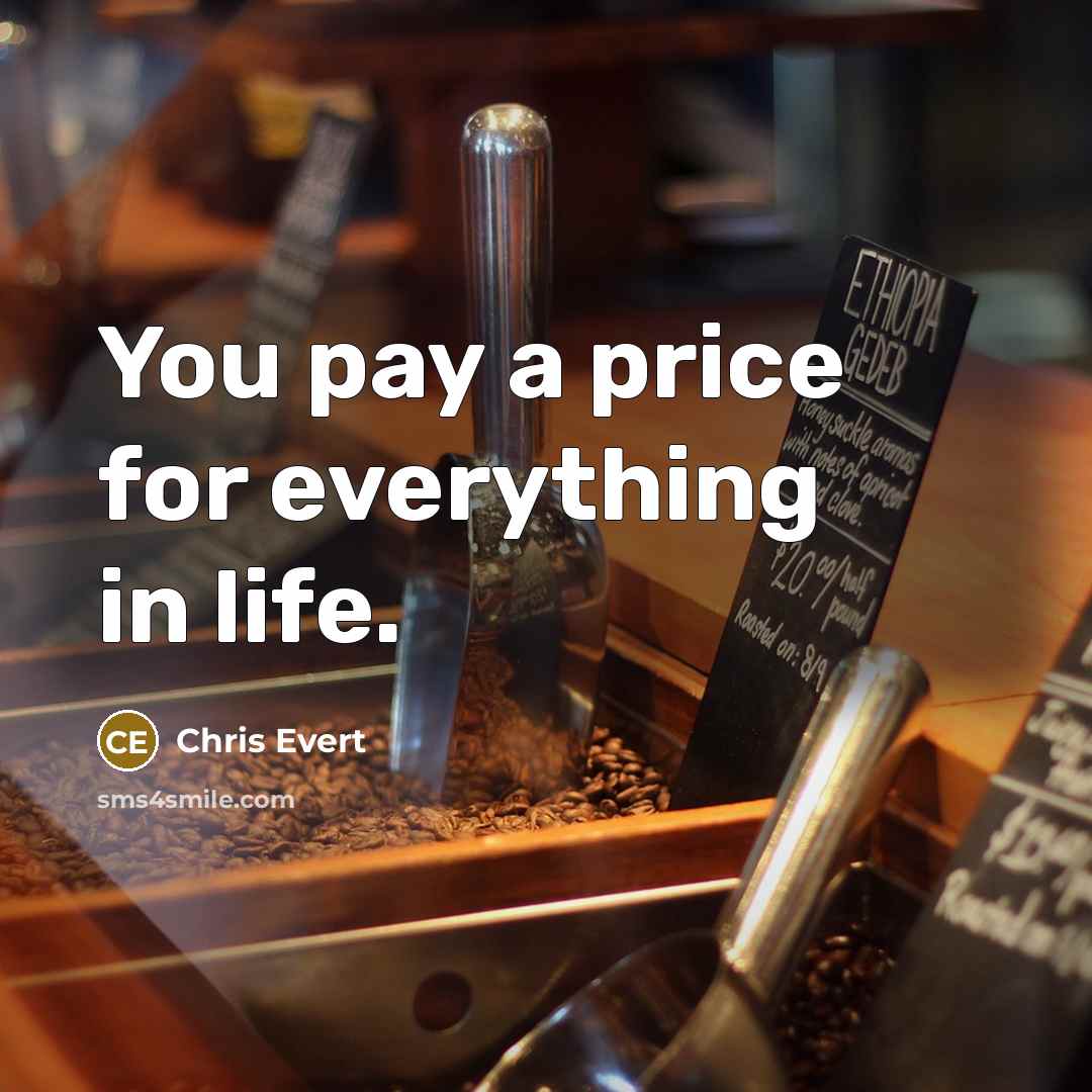“You pay a price for everything in life.…” quote by Chris Evert