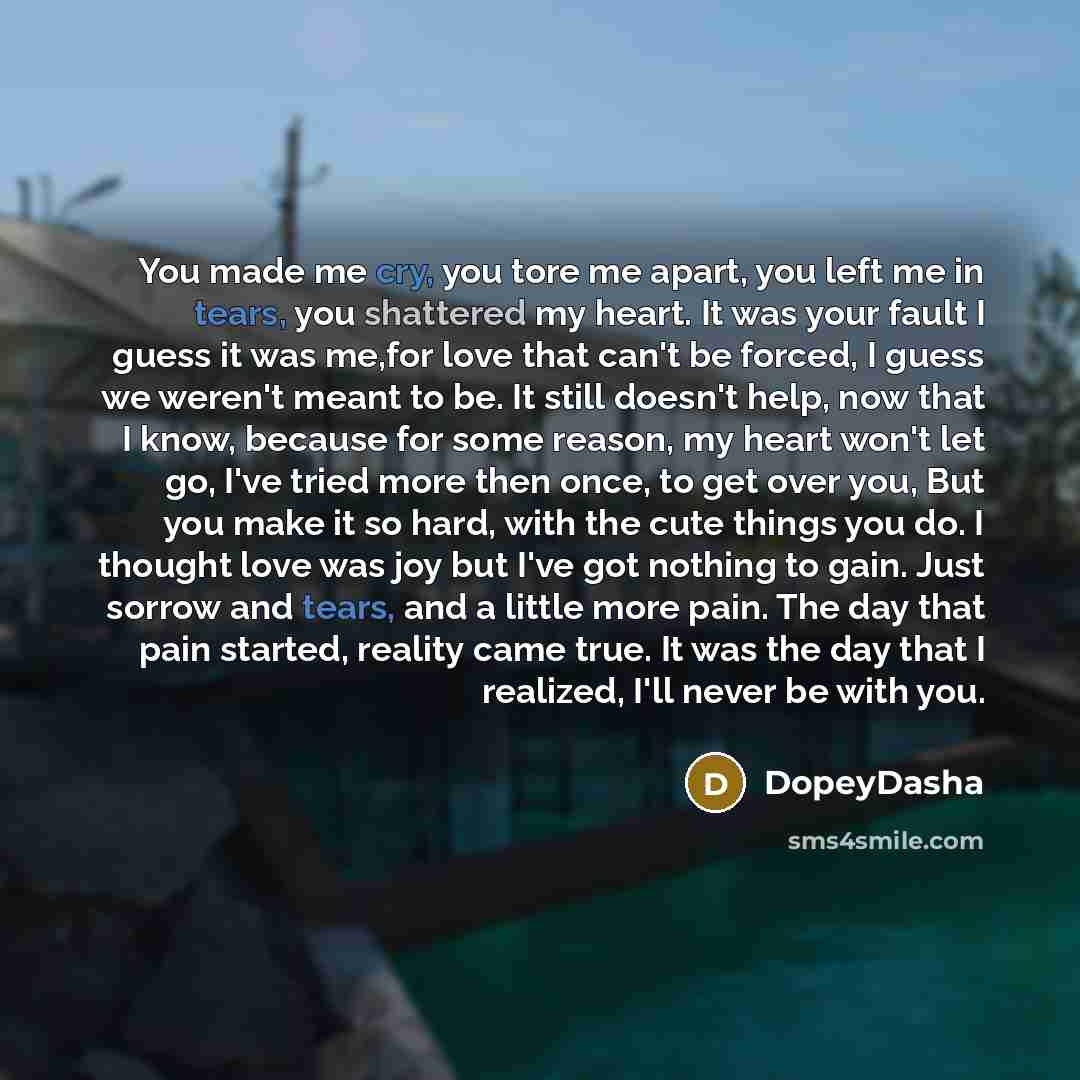 “You made me cry, you tore me apart, you left…” quote by DopeyDasha