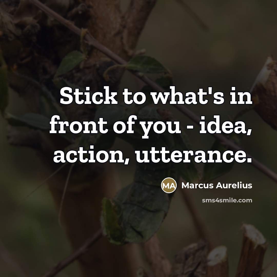 “Stick to what's in front of you - idea, action,…” quote by Marcus Aurelius