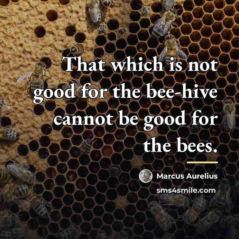 “That which is not good for the bee-hive cannot be…” quote by Marcus Aurelius