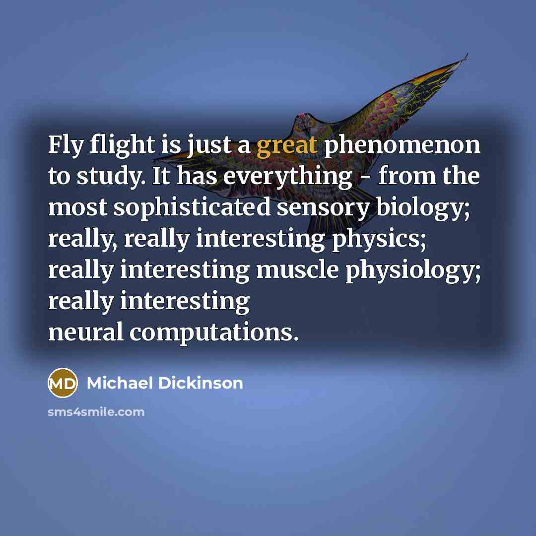“Fly flight is just a great phenomenon to study. It…” quote by Michael Dickinson