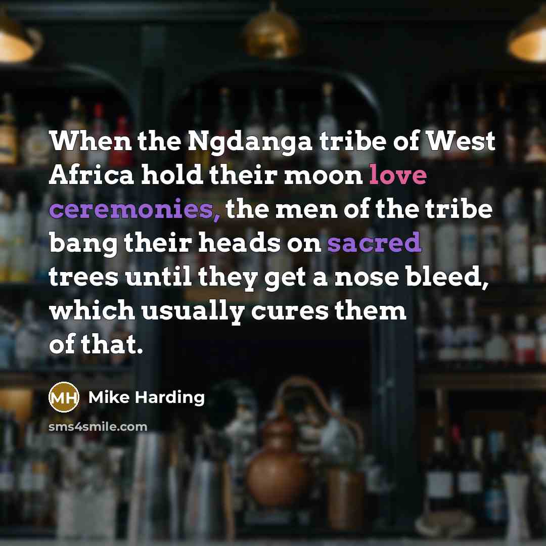 “When the Ngdanga tribe of West Africa hold their moon…” quote by Mike Harding