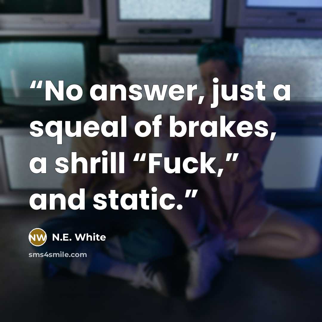 “No answer, just a squeal of brakes, a shrill “Fuck,” and static.” quote by N.E. White