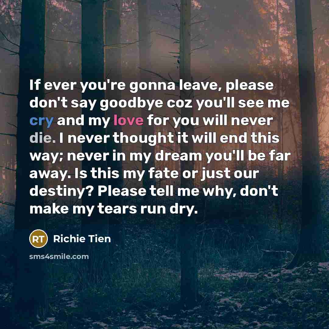 “If ever you're gonna leave, please don't say goodbye coz…” quote by Richie Tien