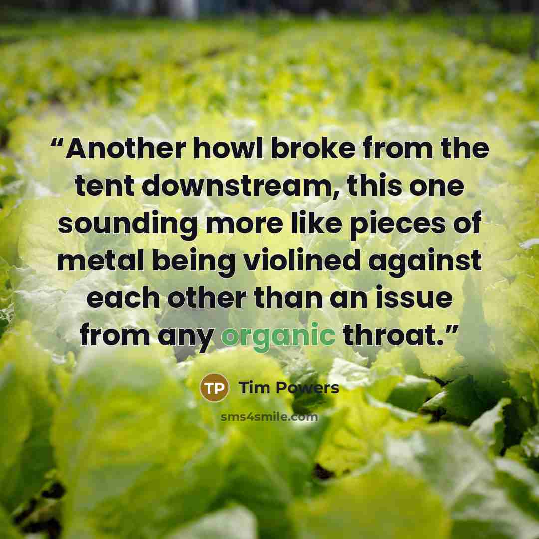 “Another howl broke from the tent downstream, this one sounding more like pieces of metal being violined against each other than an issue from any organic throat.” quote by Tim Powers