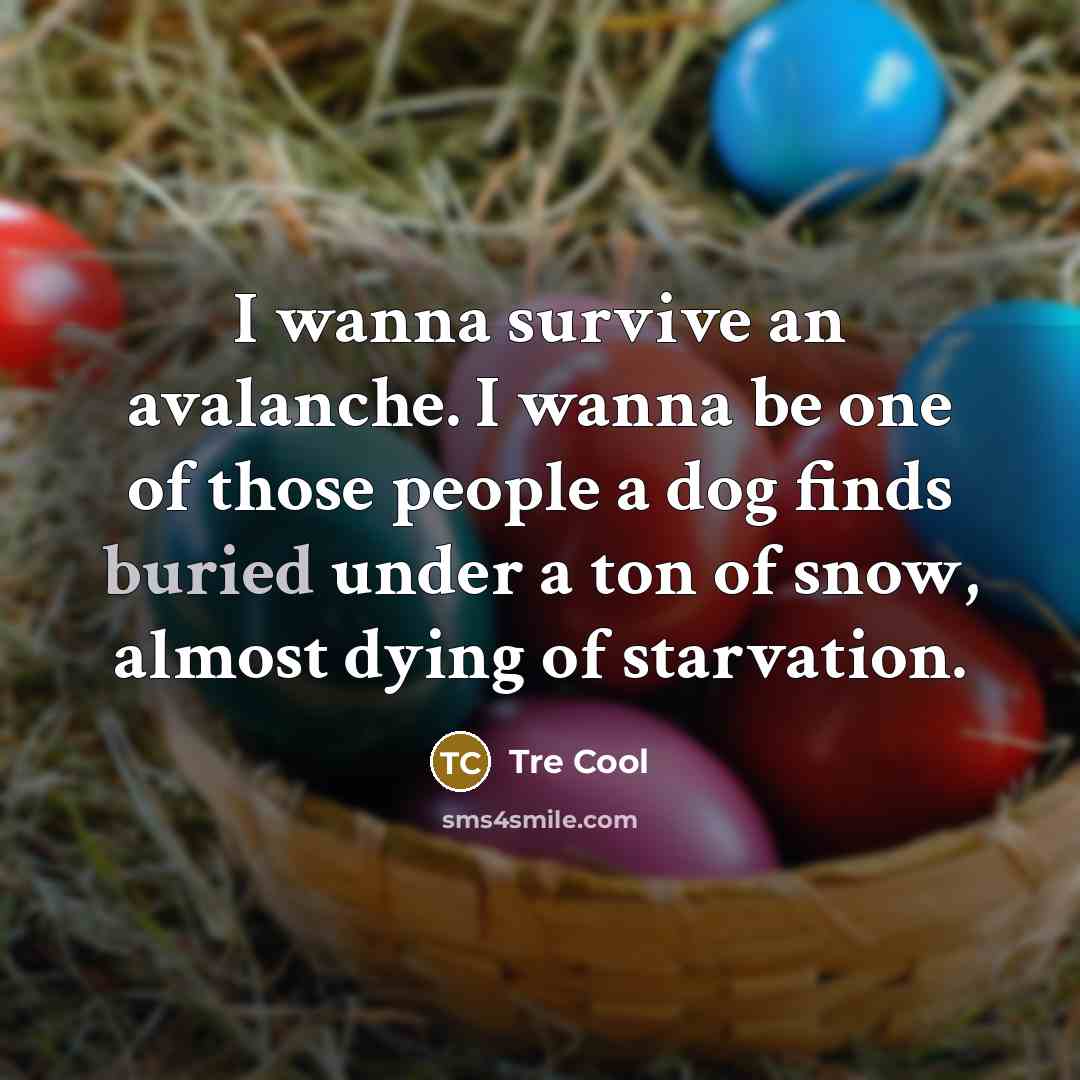 “I wanna survive an avalanche. I wanna be one of…” quote by Tre Cool