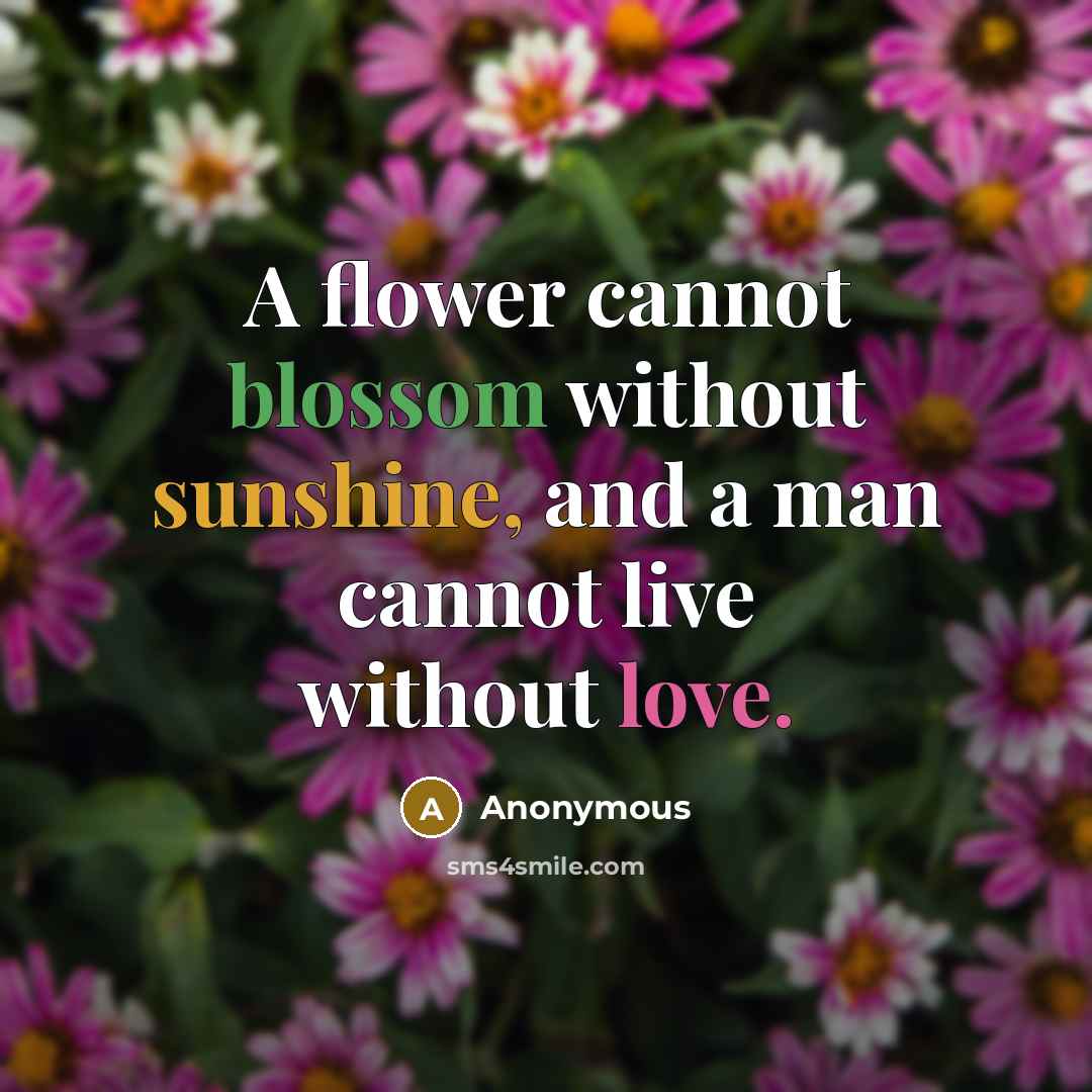 “A flower cannot blossom without sunshine, and a man cannot live without love.” quote by Anonymous