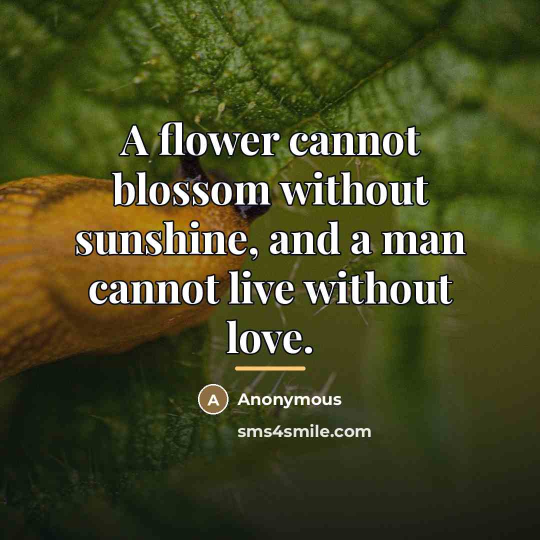 “A flower cannot blossom without sunshine, and a man cannot…” quote by Anonymous