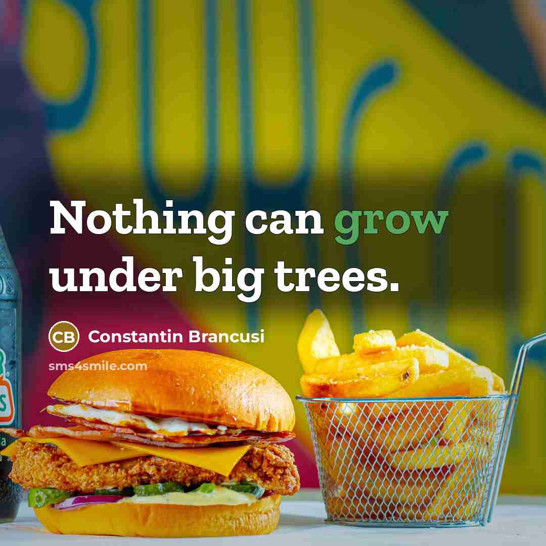 “Nothing can grow under big trees.…” quote by Constantin Brancusi