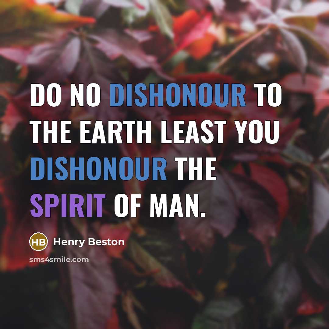 “Do no dishonour to the earth least you dishonour the spirit of man.” quote by Henry Beston
