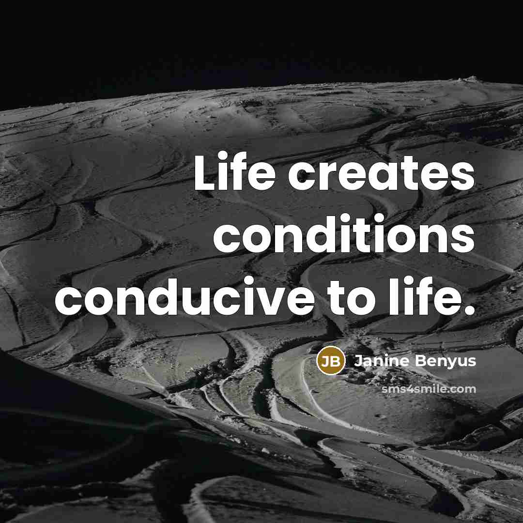 “Life creates conditions conducive to life.…” quote by Janine Benyus
