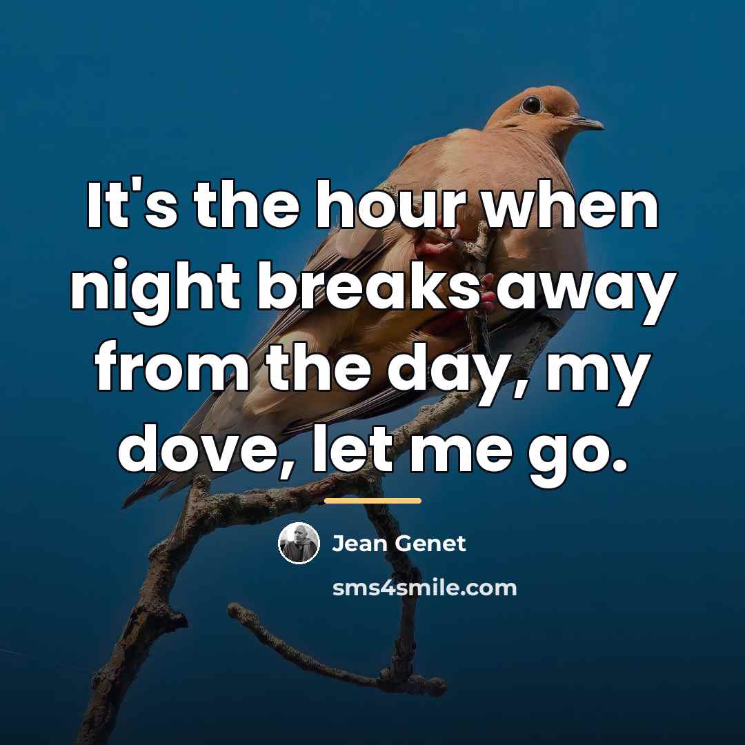 “It's the hour when night breaks away from the day,…” quote by Jean Genet