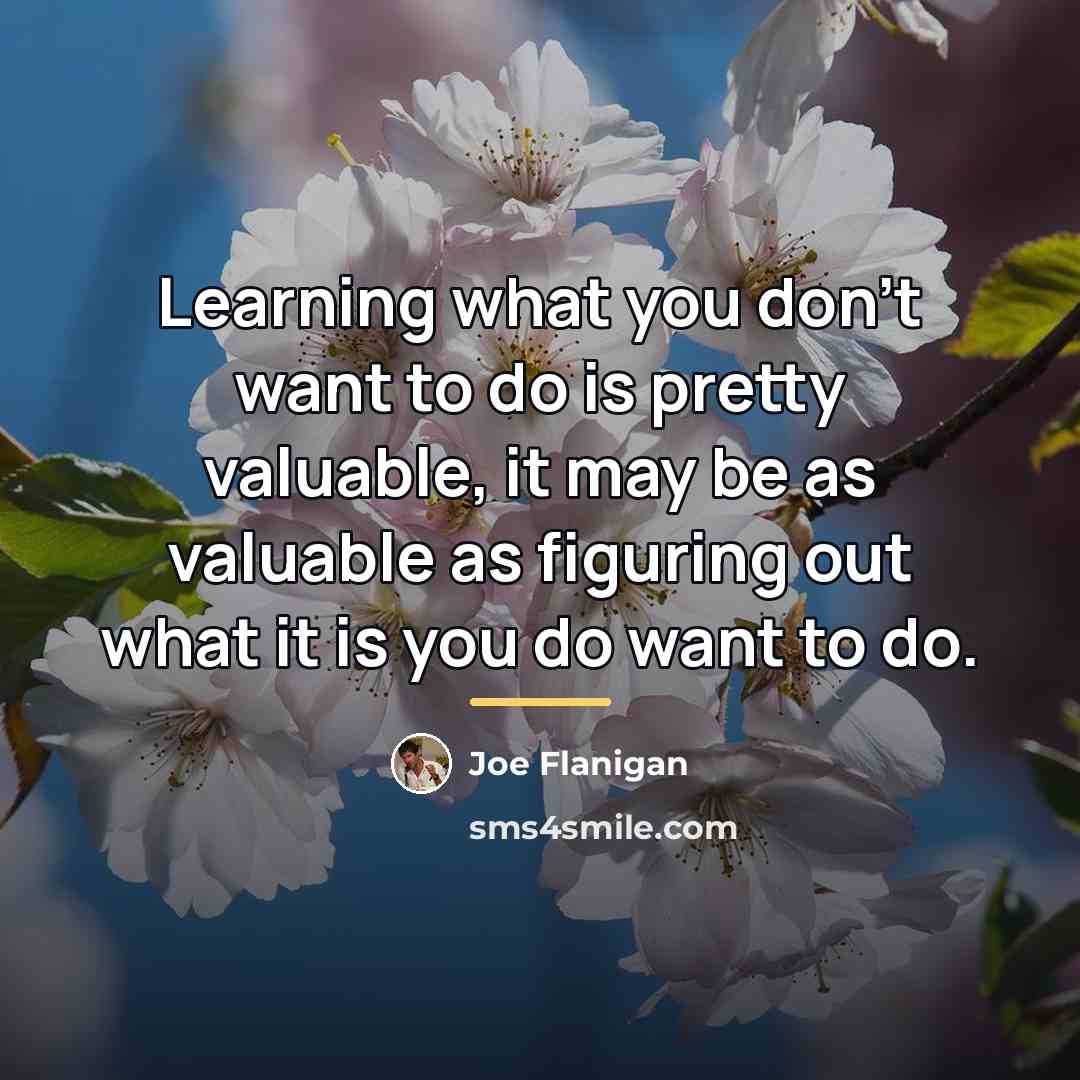 “Learning what you don't want to do is pretty valuable,…” quote by Joe Flanigan
