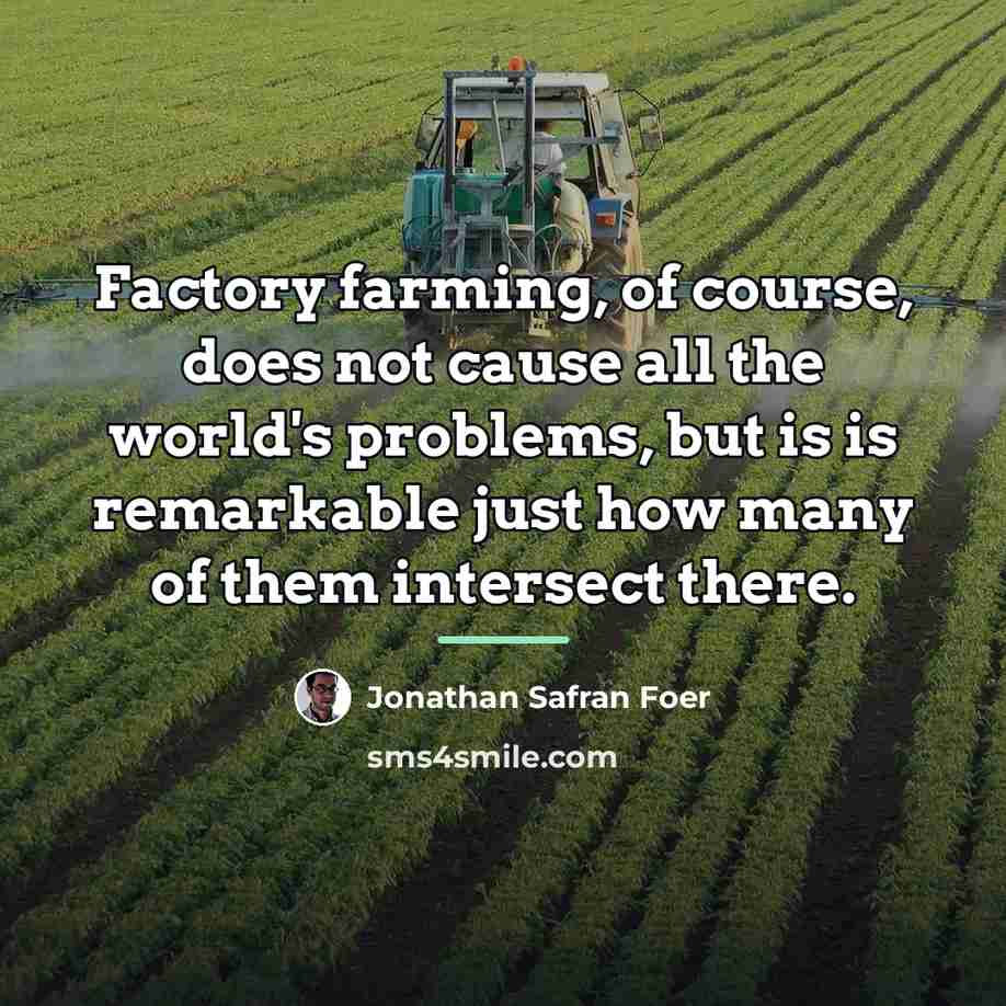 “Factory farming, of course, does not cause all the world's…” quote by Jonathan Safran Foer