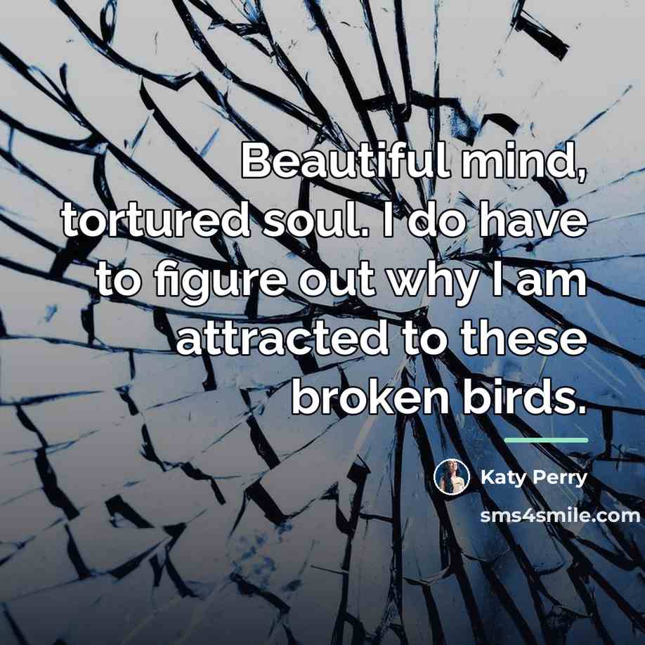 “Beautiful mind, tortured soul. I do have to figure out…” quote by Katy Perry