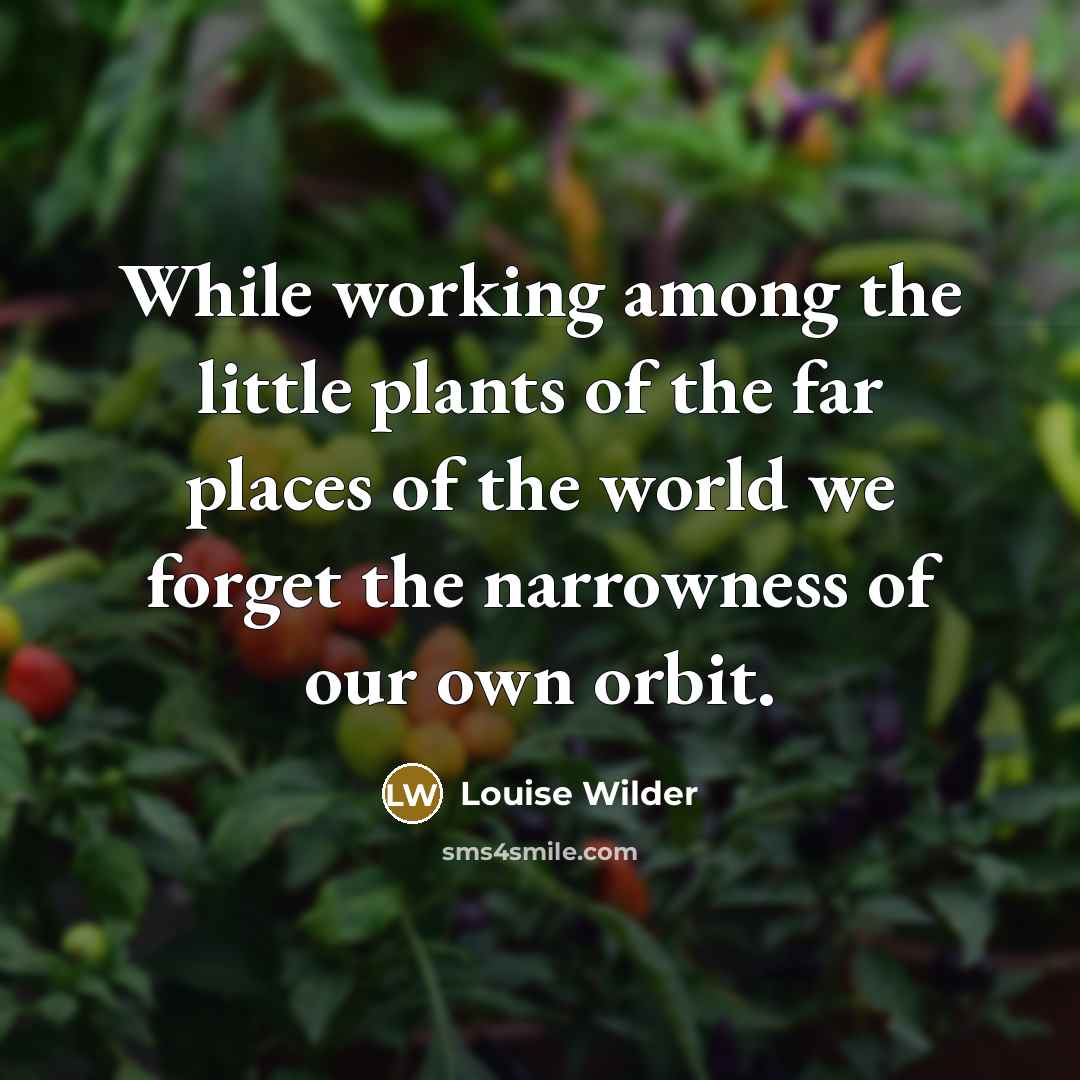 “While working among the little plants of the far places…” quote by Louise Wilder