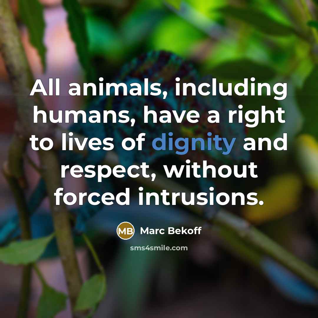 “All animals, including humans, have a right to lives of…” quote by Marc Bekoff