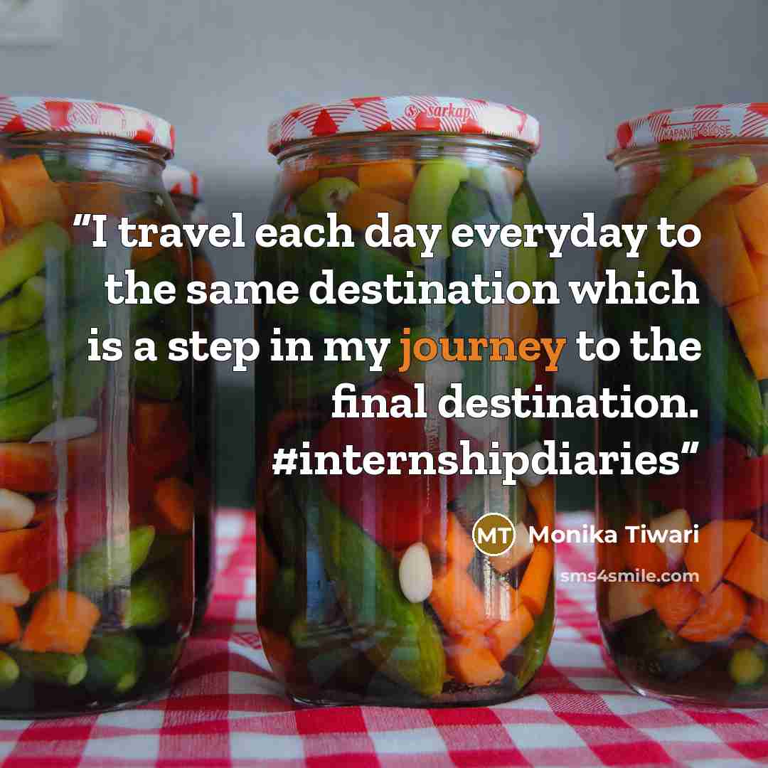 “I travel each day everyday to the same destination which is a step in my journey to the final destination. #internshipdiaries” quote by Monika Tiwari