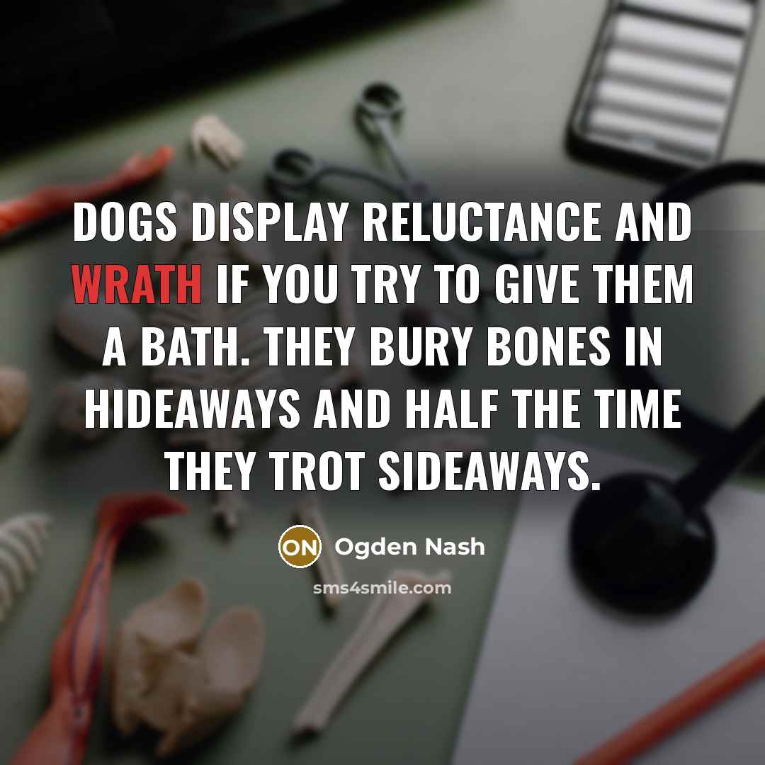 “Dogs display reluctance and wrath If you try to give…” quote by Ogden Nash