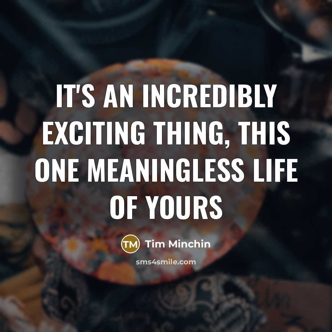 “It's an incredibly exciting thing, this one meaningless life of…” quote by Tim Minchin