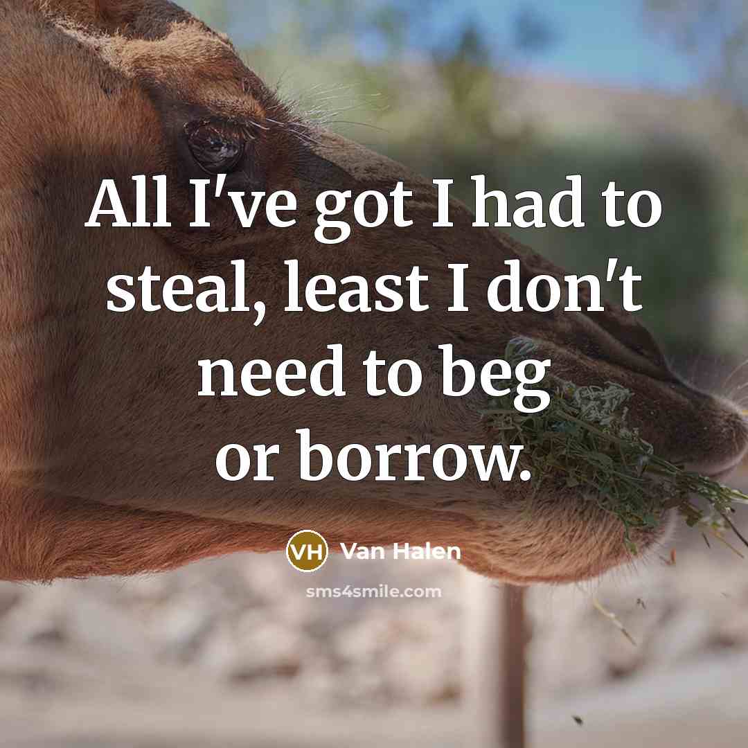 “All I've got I had to steal, least I don't need to beg or borrow.” quote by Van Halen