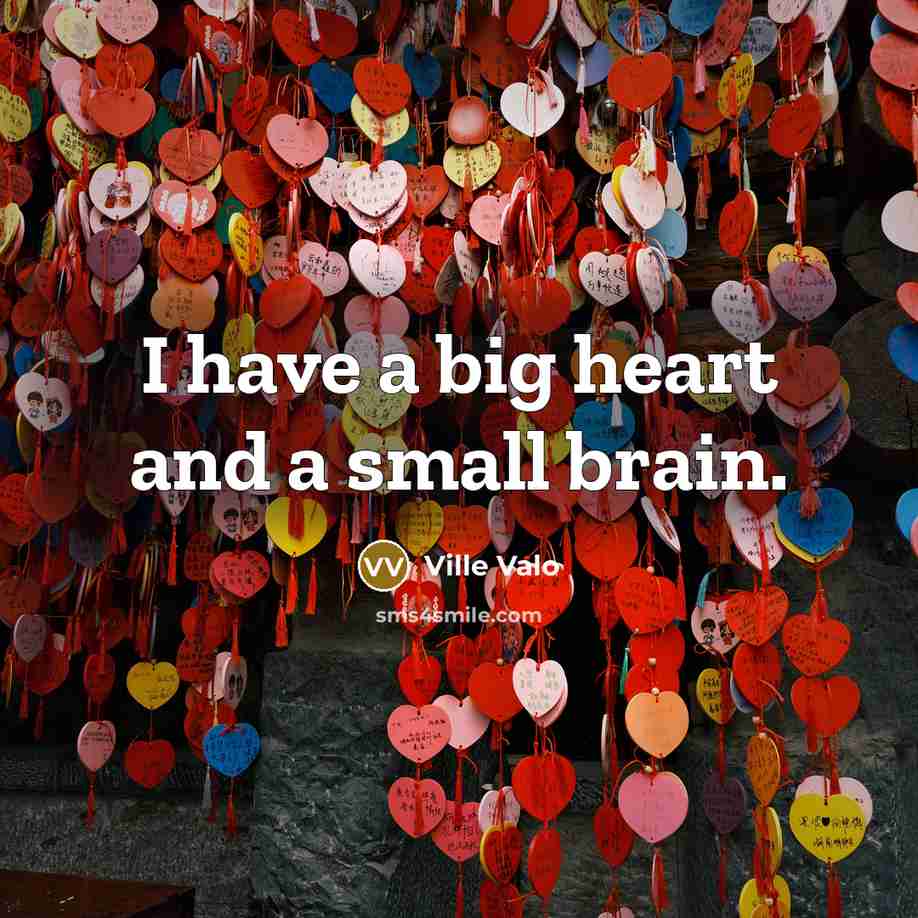 “I have a big heart and a small brain.…” quote by Ville Valo