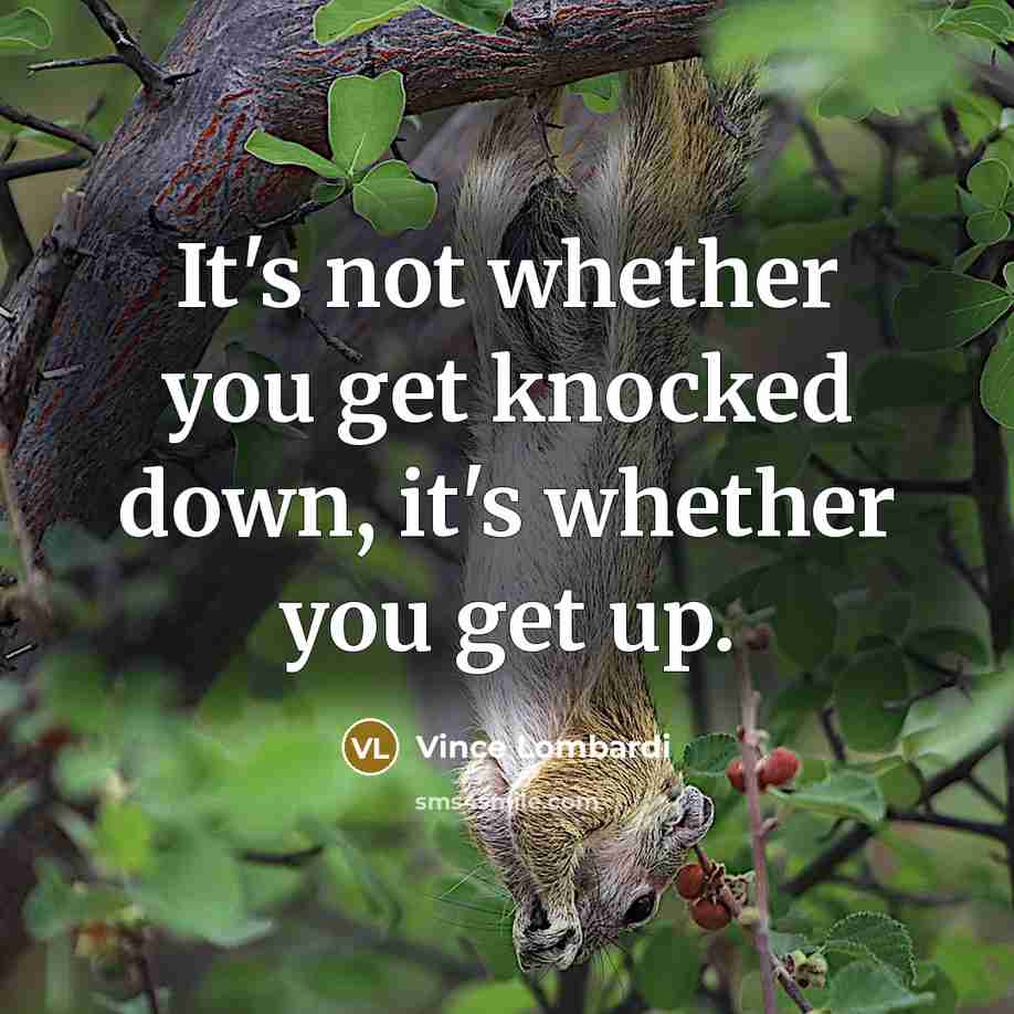 “It's not whether you get knocked down, it's whether you…” quote by Vince Lombardi