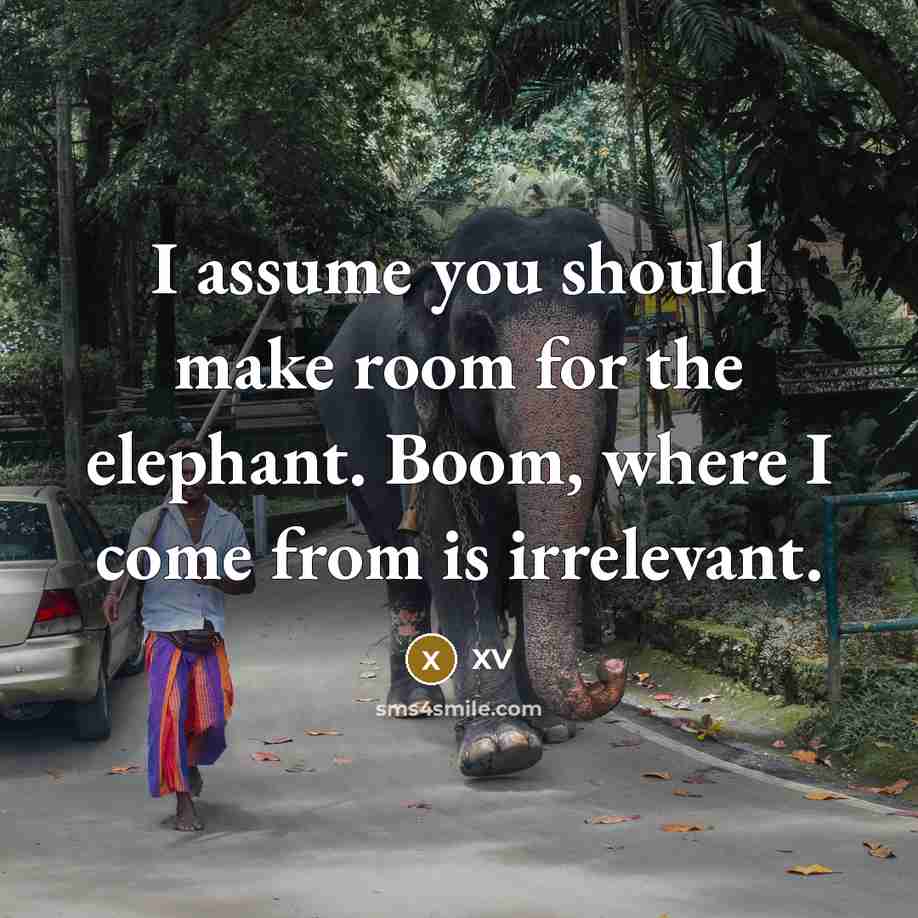 “I assume you should make room for the elephant. Boom,…” quote by XV