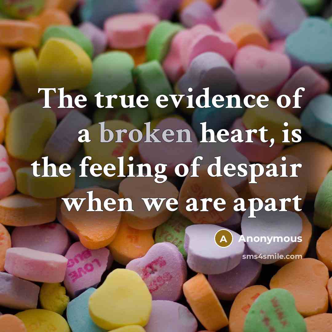 “The true evidence of a broken heart, is the feeling…” quote by Anonymous