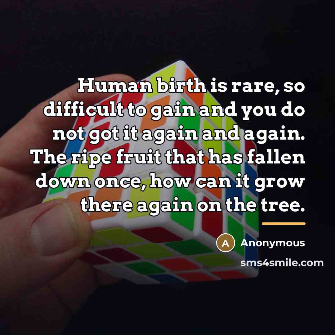 “Human birth is rare, so difficult to gain and you…” quote by Anonymous