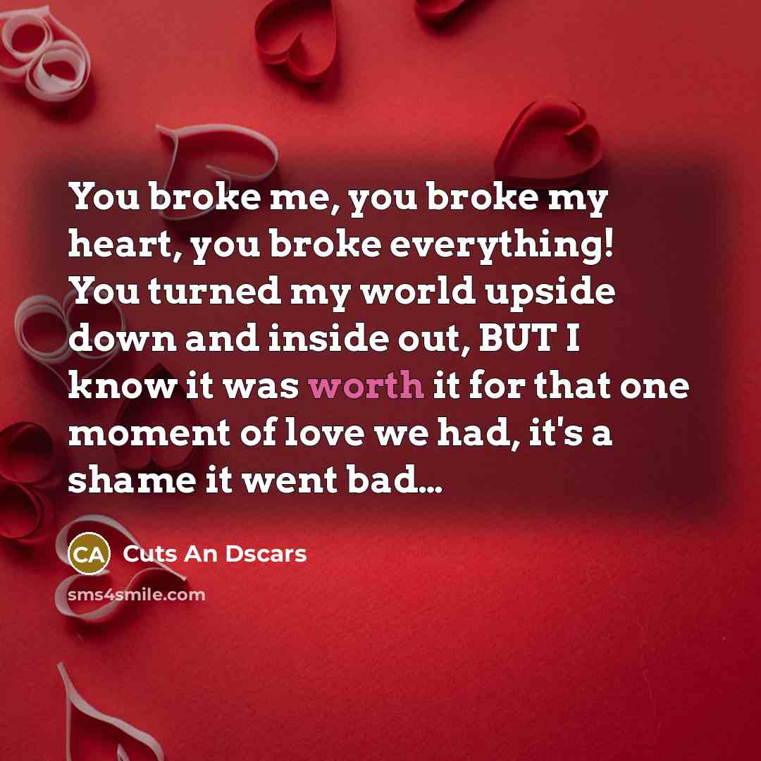 “You broke me, you broke my heart, you broke everything! You turned my world upside down and inside out, BUT I know it was worth it for that one moment of love we had, it's a shame it went bad…” quote by Cuts An Dscars