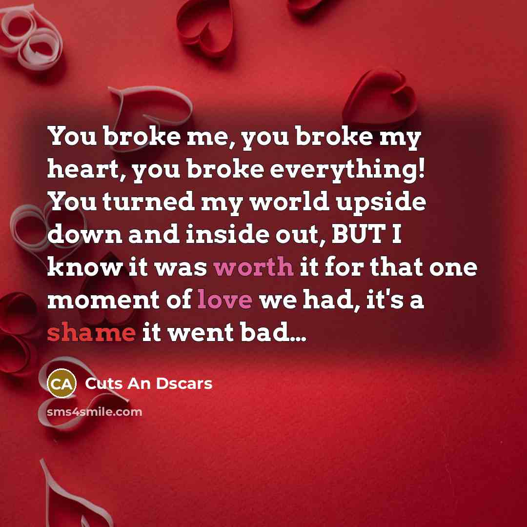 “You broke me, you broke my heart, you broke everything! You turned my world upside down and inside out, BUT I know it was worth it for that one moment of love we had, it's a shame it went bad…” quote by Cuts An Dscars
