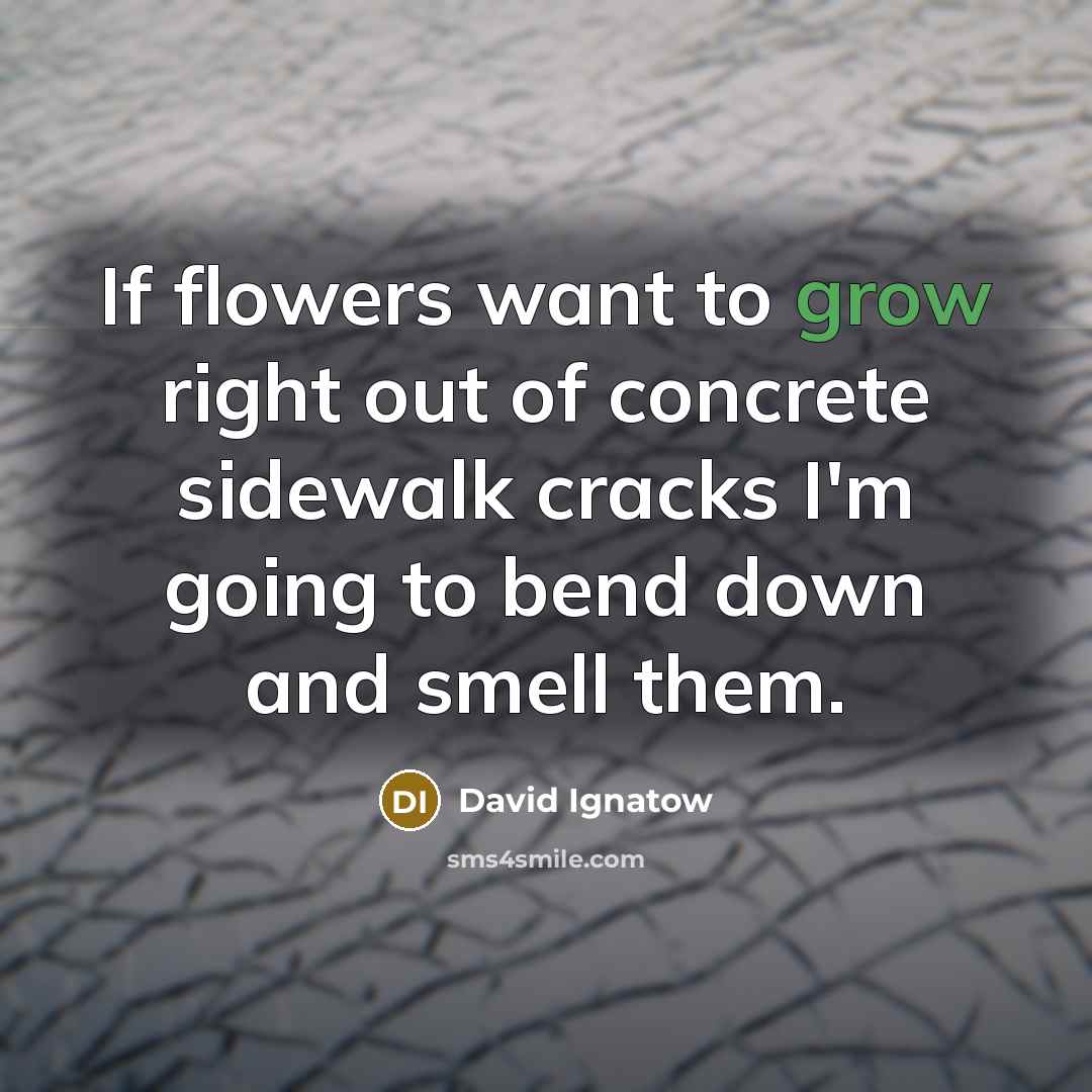 “If flowers want to grow right out of concrete sidewalk…” quote by David Ignatow