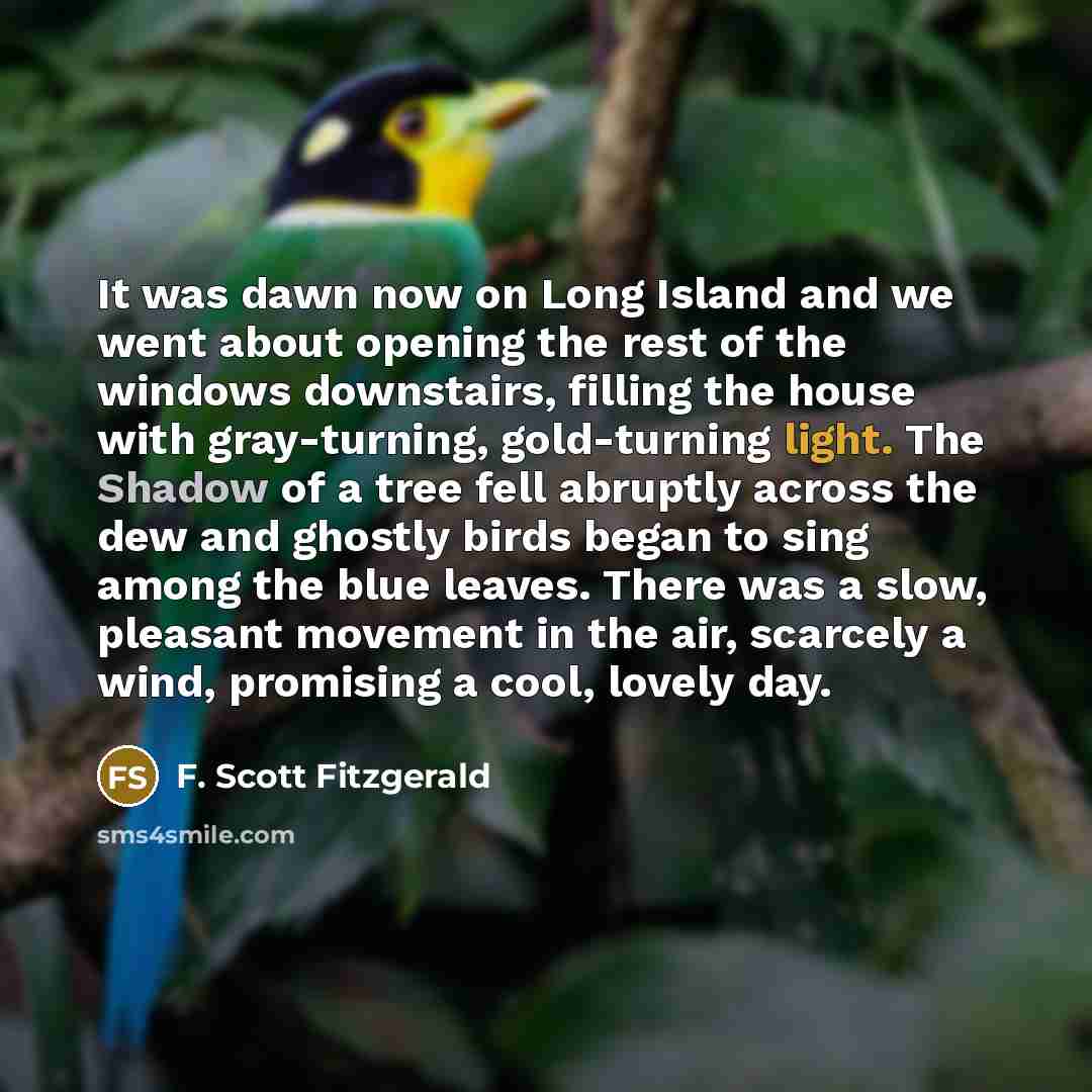 “It was dawn now on Long Island and we went…” quote by F. Scott Fitzgerald