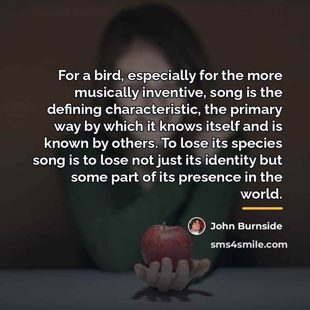 “For a bird, especially for the more musically inventive, song…” quote by John Burnside