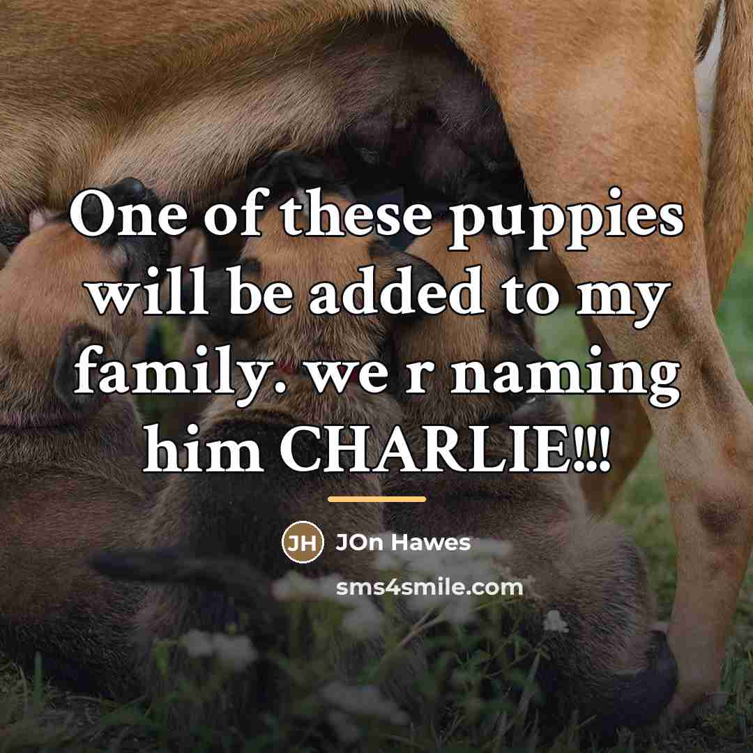 “One of these puppies will be added to my family.…” quote by Jon Hawes