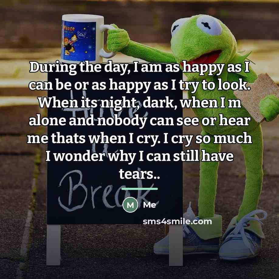 “During the day, I am as happy as I can…” quote by Me
