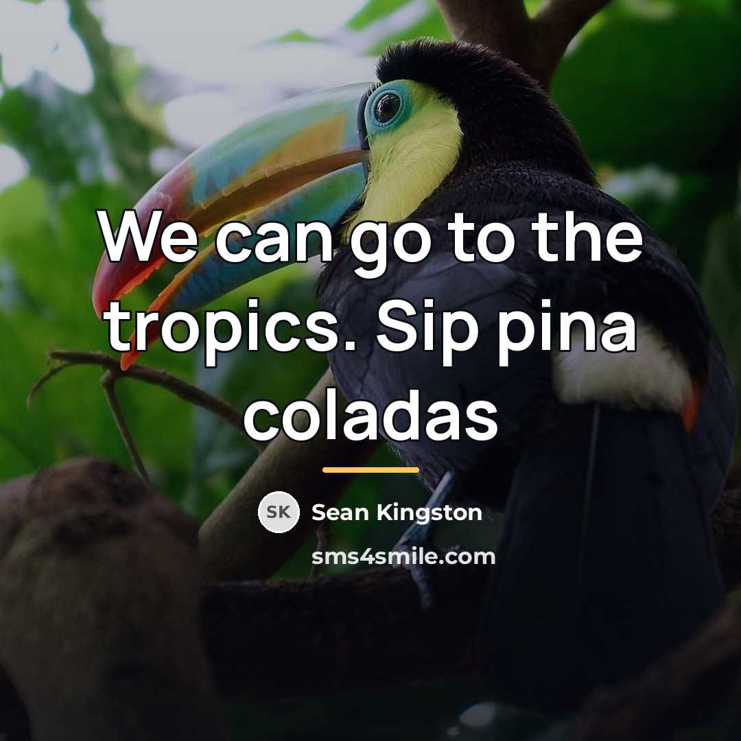 “We can go to the tropics. Sip pina coladas…” quote by Sean Kingston